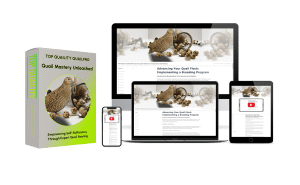 Copyright 2023 The Mind of Chaos Opened & The Abyss Came Pouring Out LLC Quail Mastery Unleashed Digital Course